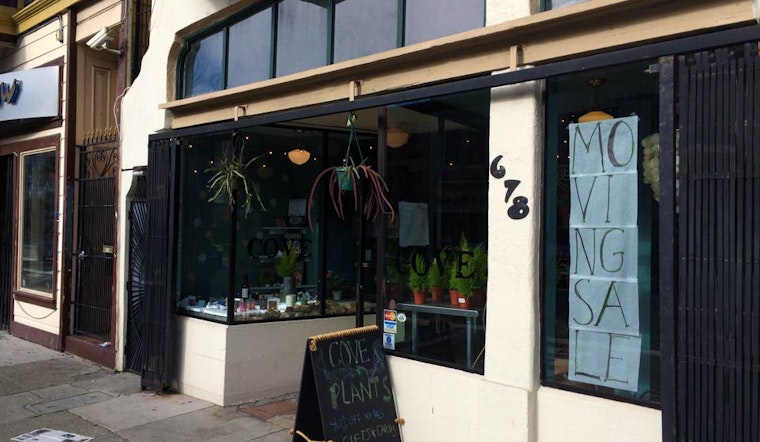 Cove To Take Over Gallery 683 Space