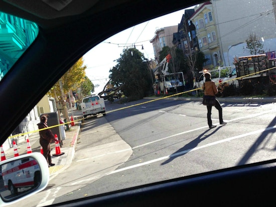 Fallen Tree Closes Divisadero Between McAllister And Golden Gate