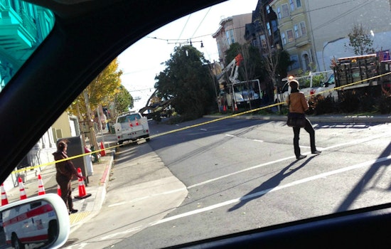 Fallen Tree Closes Divisadero Between McAllister And Golden Gate