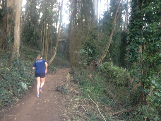 Hikers Versus Cyclists Inside The Sutro Open Space Reserve