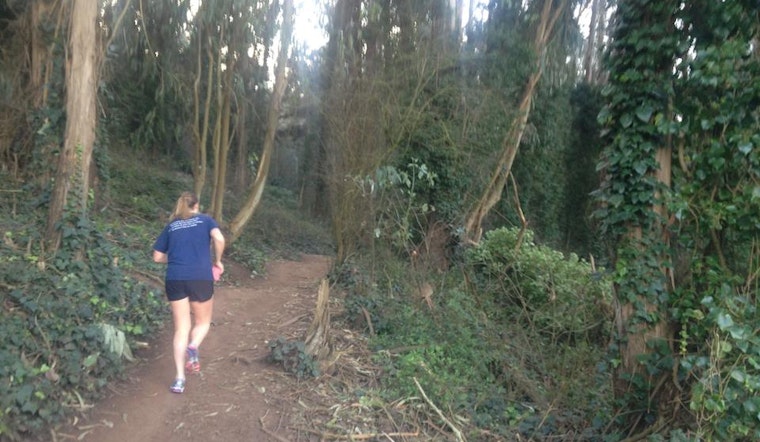 Hikers Versus Cyclists Inside The Sutro Open Space Reserve