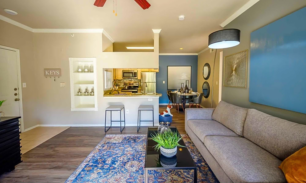 Apartments for rent in Plano What will 1,100 get you?