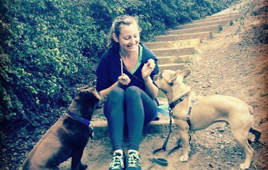 Meet Shoshi Parks Of Modern Hound, A Hidden Divis Business