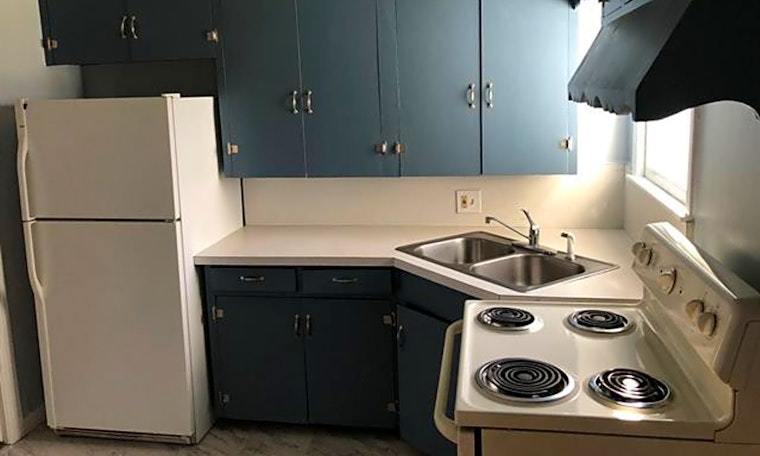 What apartments will $1,300 rent you in Central Arlington, this month?