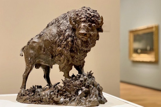 Discover the 3 best art galleries in Fort Worth