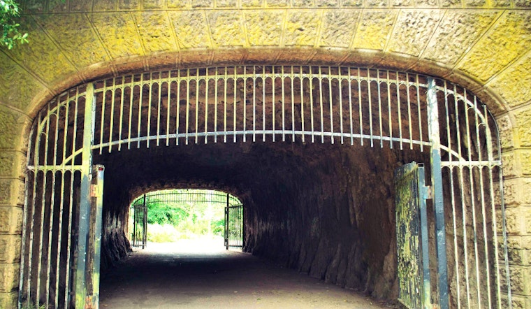Meet The Alvord Lake Bridge, A Structural Icon