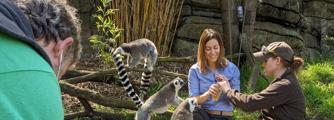 5 options for stay-at-home fun in SF & Oakland: Friday, April 3