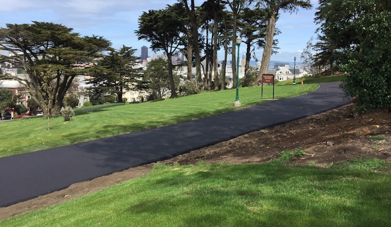 Man who started fire in Alamo Square Park may be serial Hayes Valley arsonist