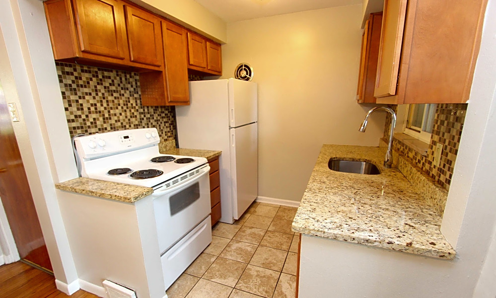 What apartments will 1,000 rent you in Squirrel Hill South, right