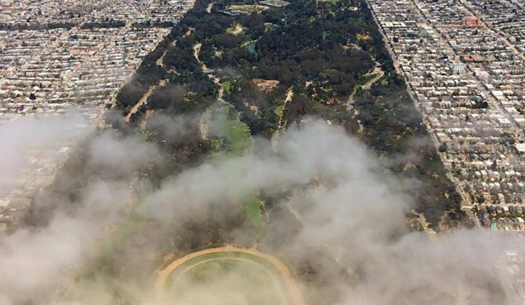 5 options for stay-at-home fun in SF: Saturday, April 4 & Sunday, April 5