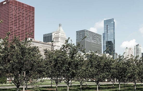 Top Chicago news: 70% of city's COVID-19 deaths are black residents; 2 Walmart workers die of virus