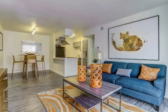 What apartments will $800 rent you in Northeast Dallas, this month?