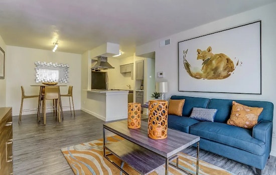 What apartments will $800 rent you in Northeast Dallas, this month?