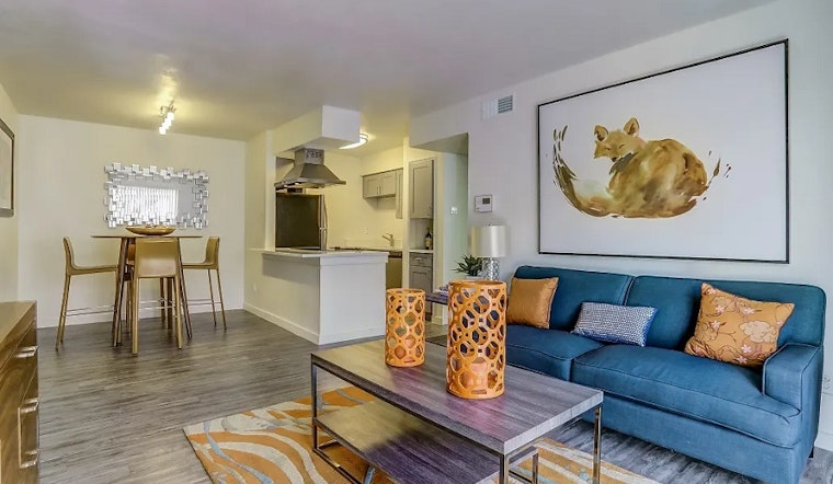 What apartments will $800 rent you in Northeast Dallas, this month?