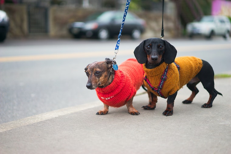 Your weather today in Cambridge