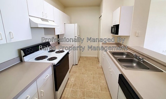 What apartments will $1,100 rent you in Tampa Palms, this month?