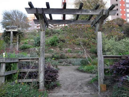 Sunset Saturday Roundup: Get Your Hands Dirty