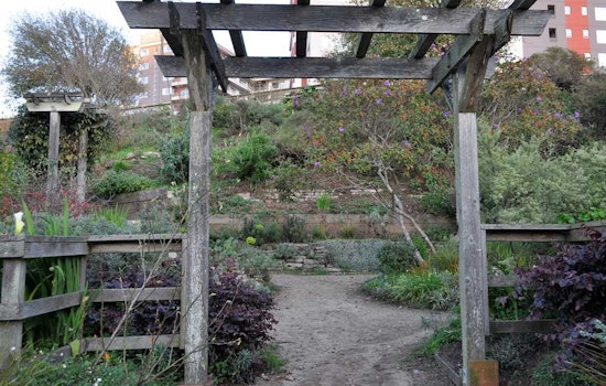 Sunset Saturday Roundup: Get Your Hands Dirty
