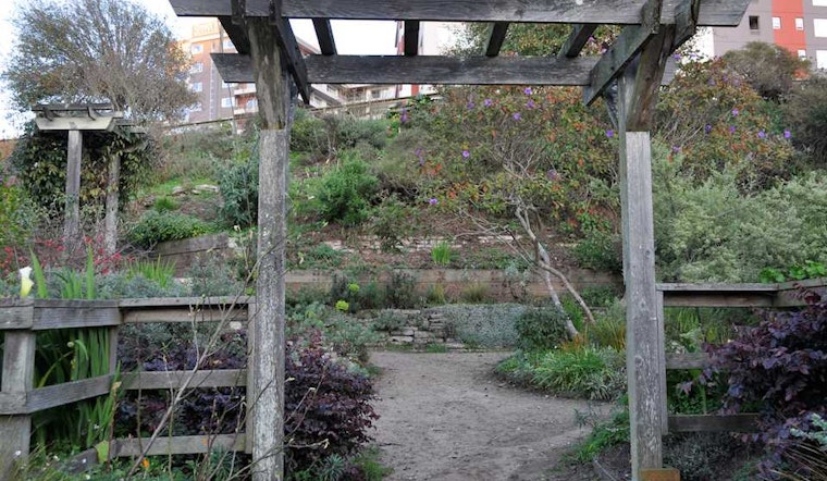 Sunset Saturday Roundup: Get Your Hands Dirty