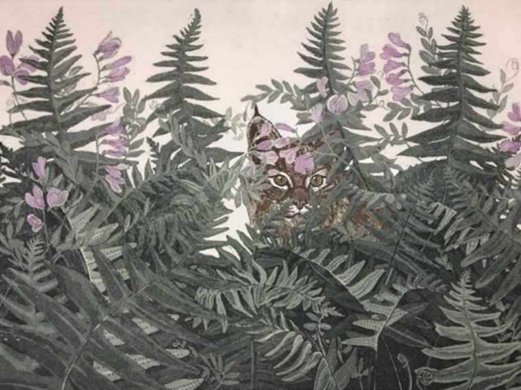 Mid-Week Divisadero Roundup: Raw Juice Pop-Up, Aquatint Etchings, Open Mic And More