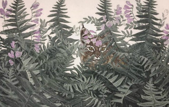 Mid-Week Divisadero Roundup: Raw Juice Pop-Up, Aquatint Etchings, Open Mic And More