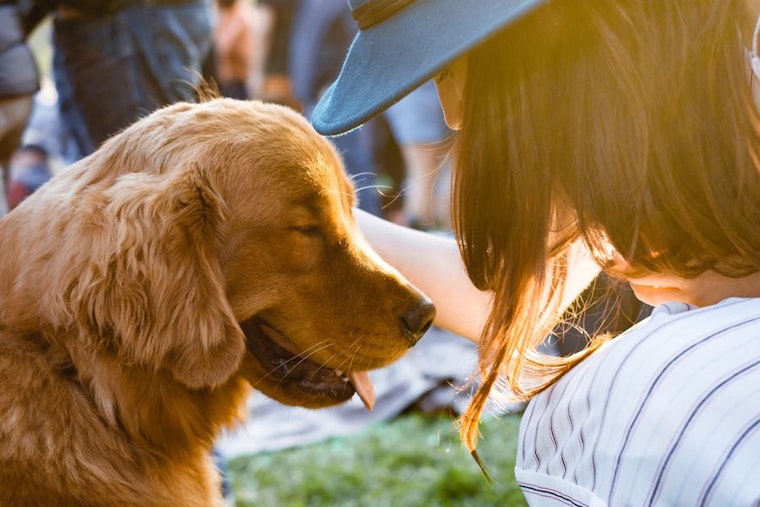 Go free this week with these 3 no-cost events in Raleigh