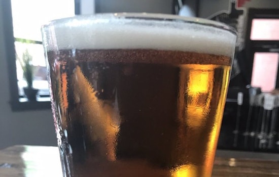 St. Louis' top 4 beer bars to visit now