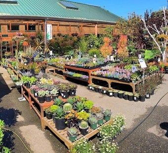 Sloat Garden Center likely to close for new mixed-use development