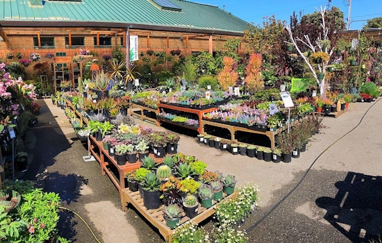 Sloat Garden Center likely to close for new mixed-use development