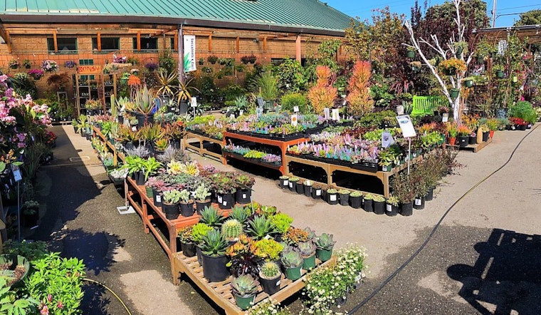 Sloat Garden Center likely to close for new mixed-use development