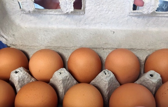 Nashville's top 4 grocery stores to visit now