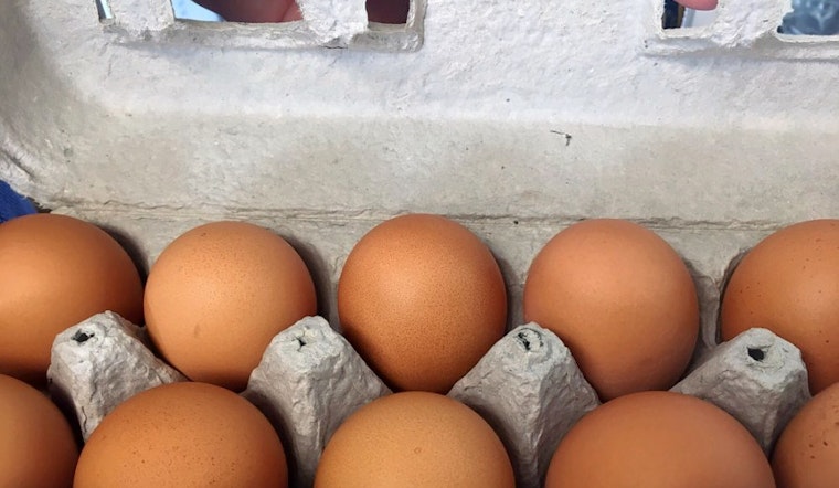 Nashville's top 4 grocery stores to visit now