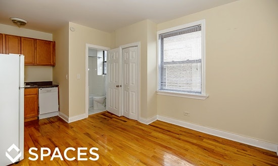 Budget apartments for rent in Lake View East, Chicago
