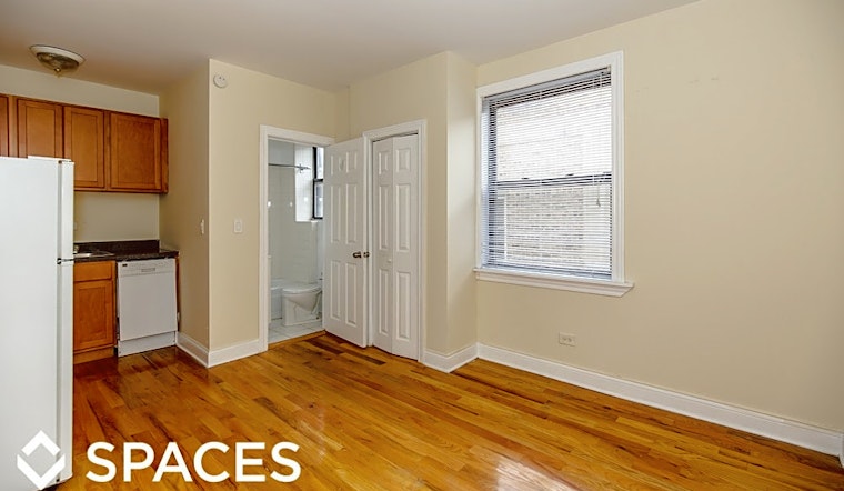 Budget apartments for rent in Lake View East, Chicago