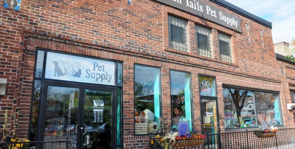 The 4 best pet stores in Minneapolis