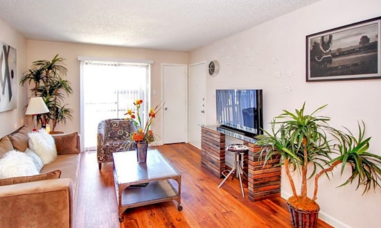 Renting in Austin: What's the cheapest apartment available right now?
