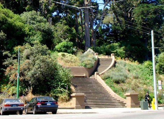 Park Patrons Warned Away After Dog Attack Reported In Buena Vista Park