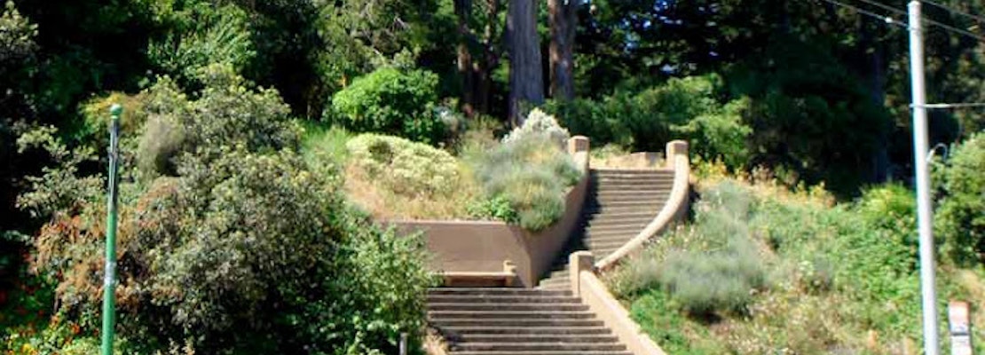 Park Patrons Warned Away After Dog Attack Reported In Buena Vista Park