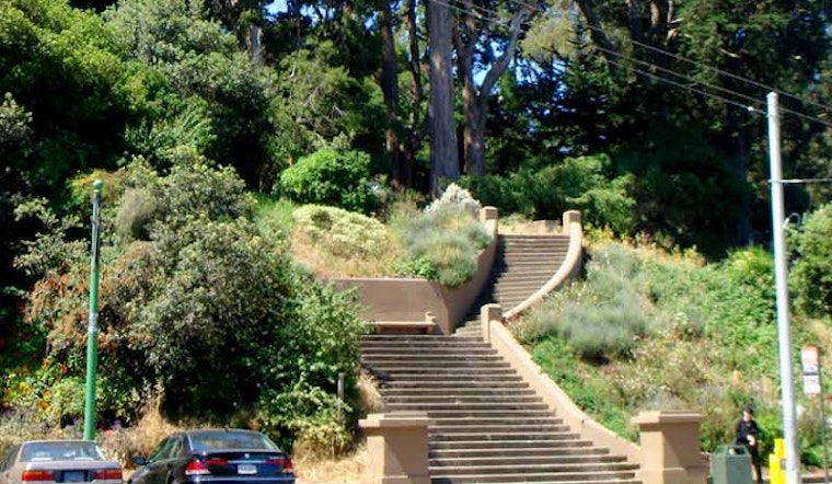 Park Patrons Warned Away After Dog Attack Reported In Buena Vista Park