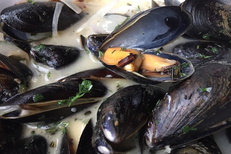Craving seafood? Here are New York City's top 4 options