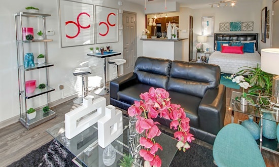 Apartments for rent in Dallas: What will $700 get you?