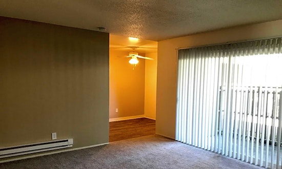 Budget apartments for rent in Washington, Sunnyvale