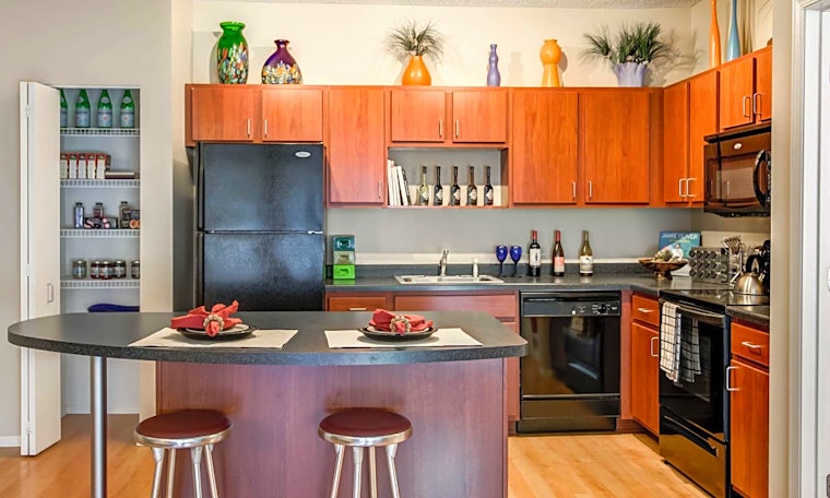 What apartments will $1,200 rent you in Lowry Hill East, this month?