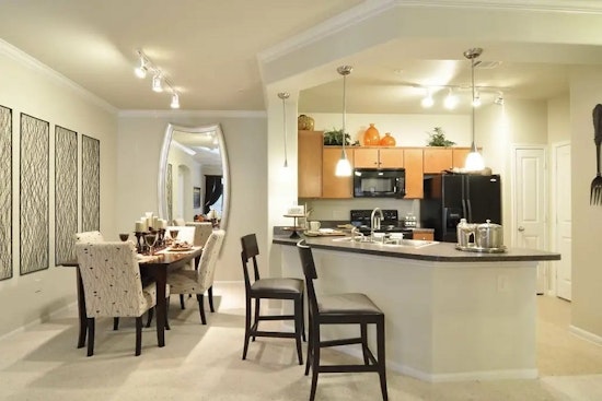 What apartments will $1,100 rent you in Astrodome Area, today?