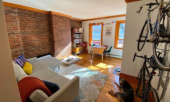 Apartments for rent in Cambridge: What will $2,400 get you?