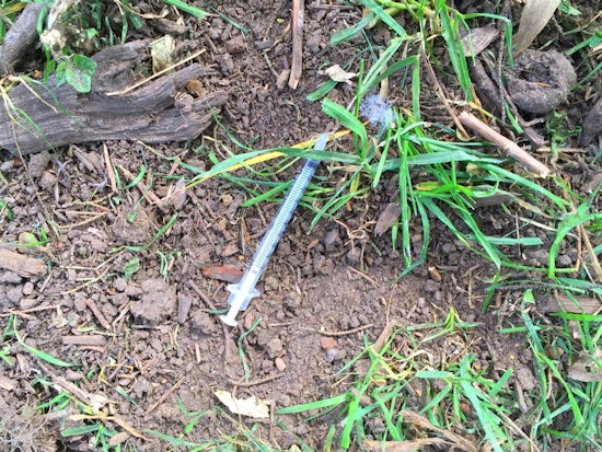 Neighbors Concerned Over Hypodermic Needles Littering Alamo Square