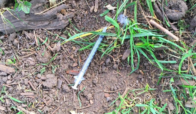 Neighbors Concerned Over Hypodermic Needles Littering Alamo Square
