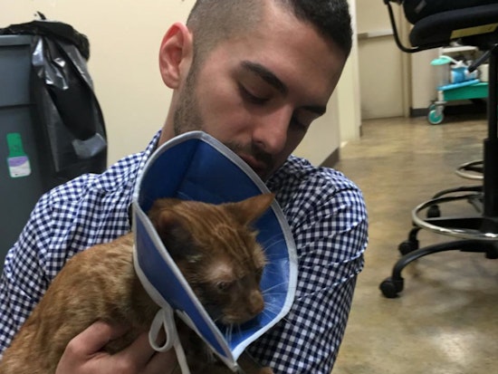 Fundraisers Launched For Feline And Human Victims Of 15th And Church Fire
