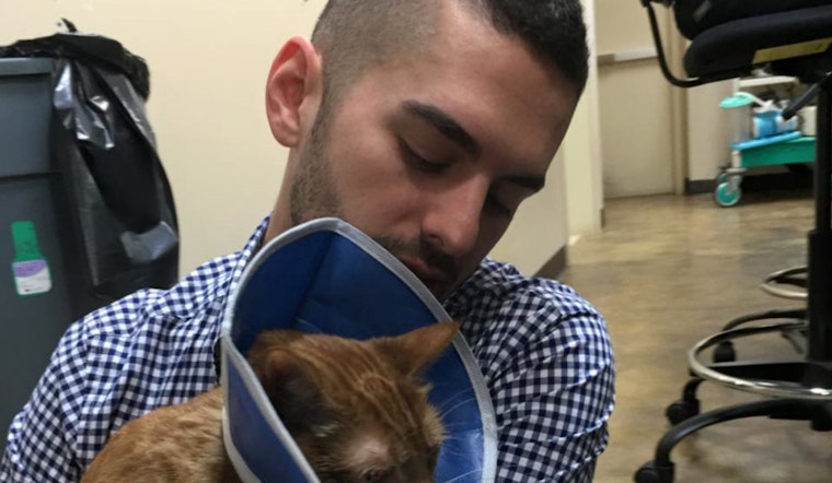 Fundraisers Launched For Feline And Human Victims Of 15th And Church Fire