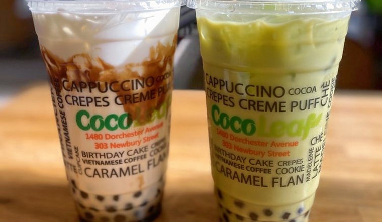 The 4 best spots to score bubble tea in Boston